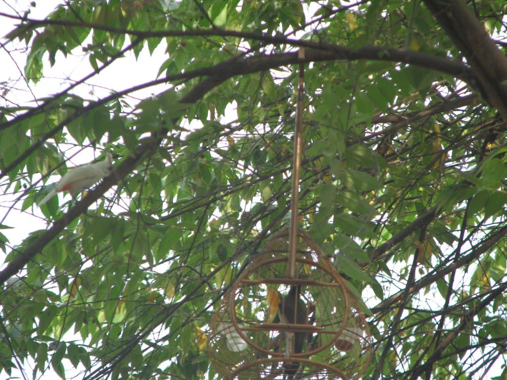 IMG_0163.jpg